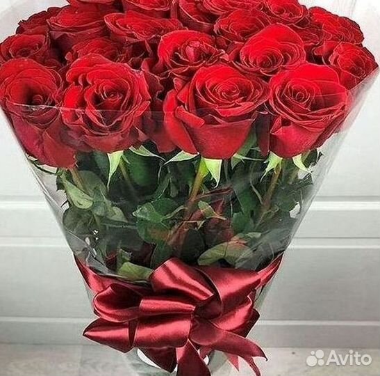 Розы гиганты 140 150 160 170 180 200