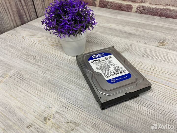 Жесткий диск Western Digital 320gb WD Blue
