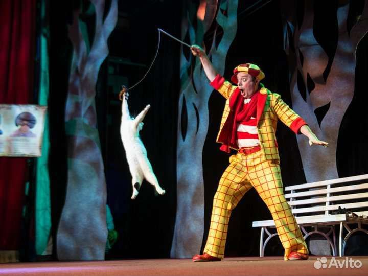Билеты в театр Куклачёва