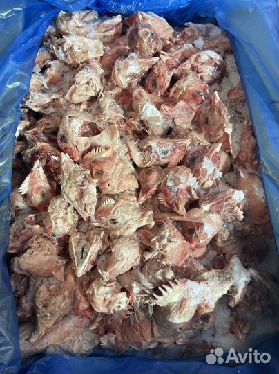Головы куриные, мясо, курица