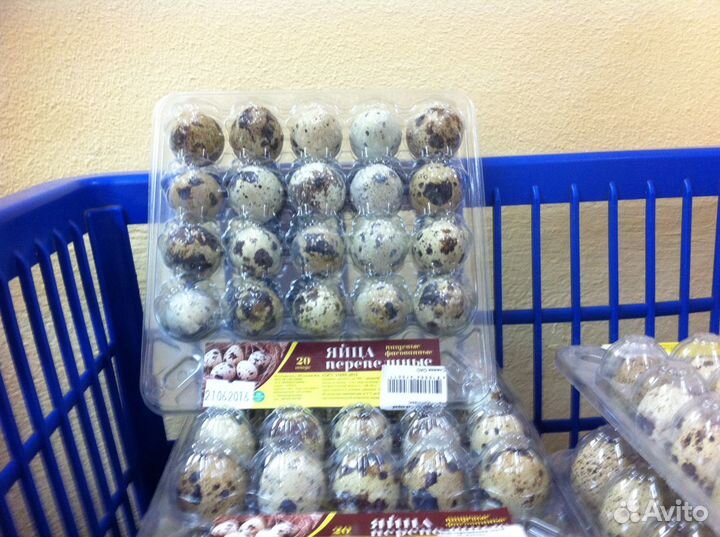 Упаковка для перепелиных яиц 20