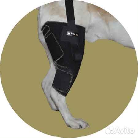Фиксатор коленного сустава для собак