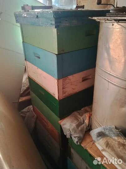 Ульи для пчел