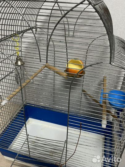 Клетка для попугая