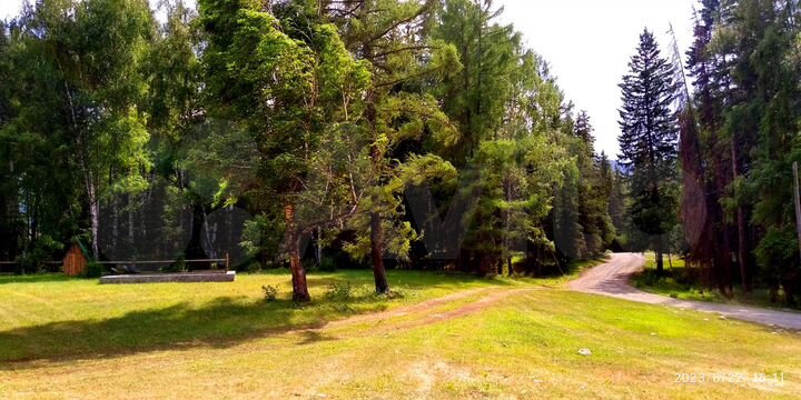 Участок 15,9 сот. (ИЖС)