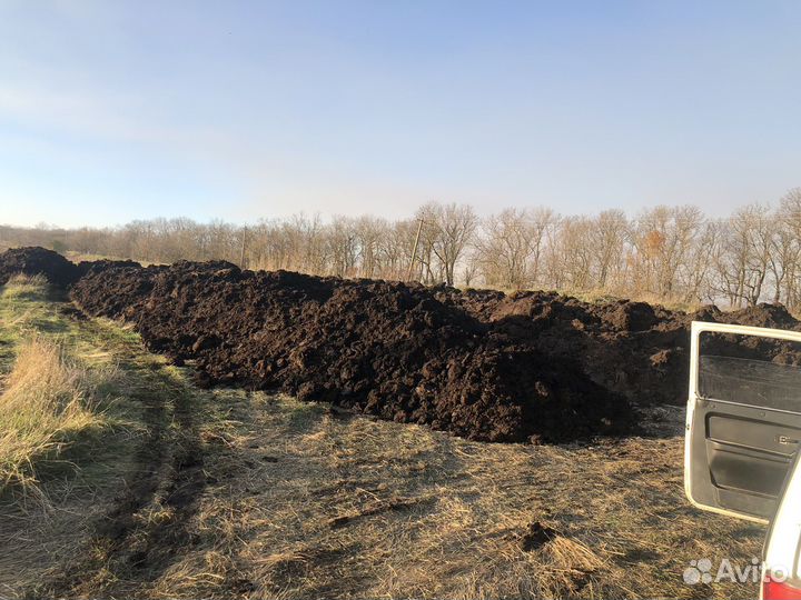 Перегной коровий. Удобрение