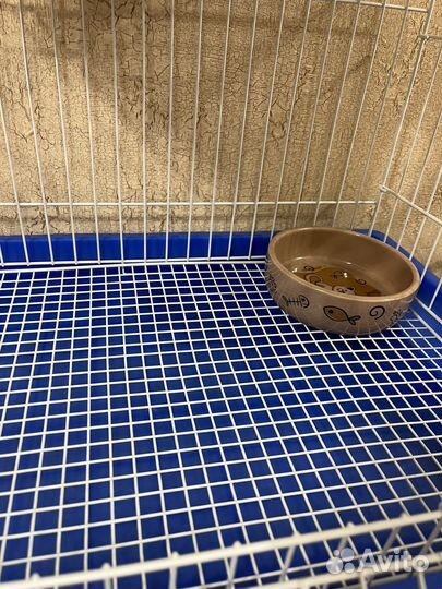 Клетка для грызунов triol