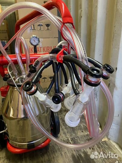 Доильный аппарат для коз