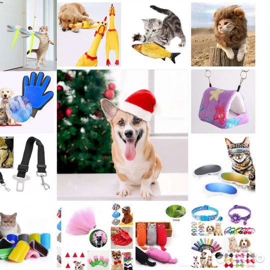 Товары,одежда, игрушки для кошек, собак