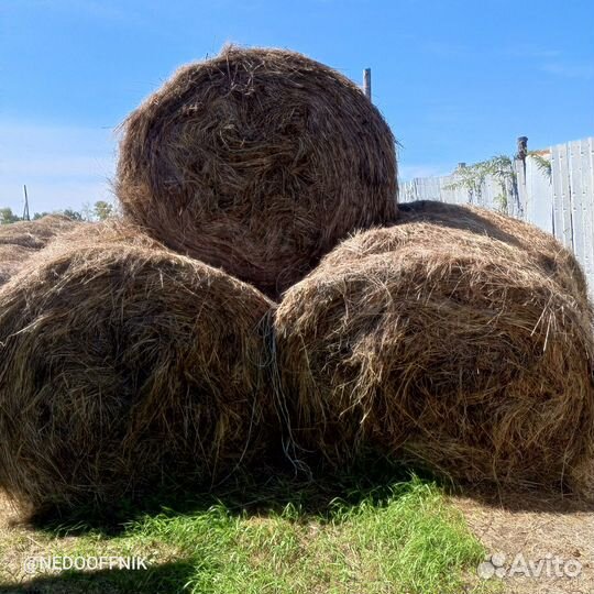 Продам сено в тюках разнотравье