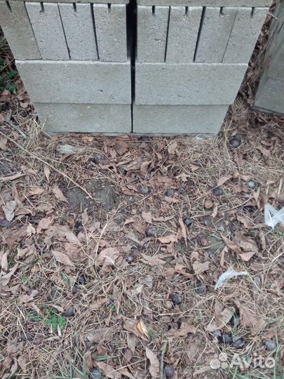 Блок полублок