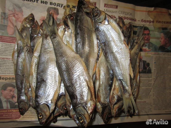 Чебак (Елец) Мохтик