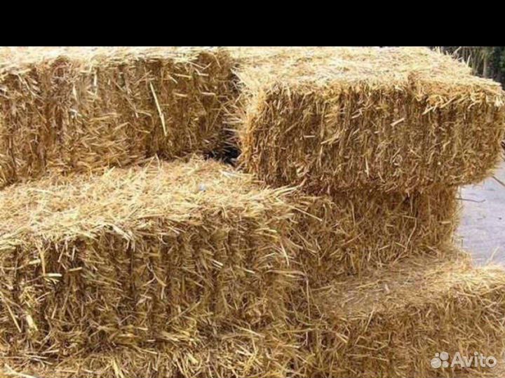 Солома в тюках
