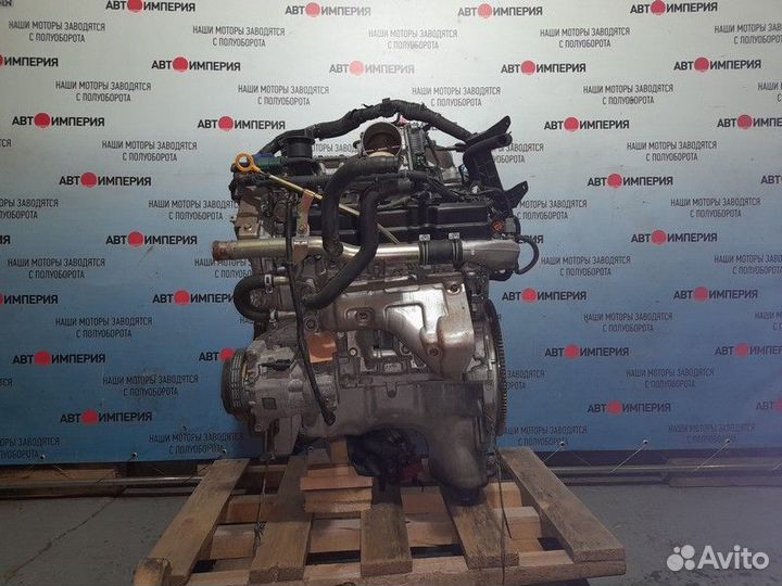 Двигатель nissan elgrand ME51 VQ25DE 248092A 2004