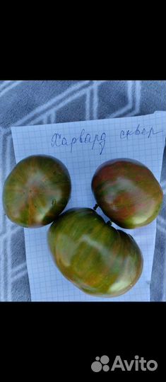 Томаты редкие сорта