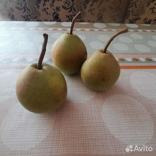 Абрикосы,груши