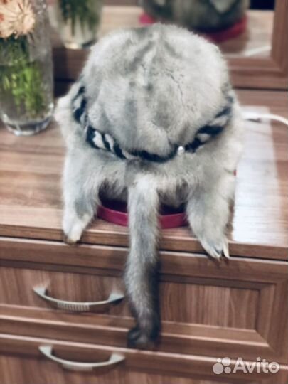 Шапка норковая женская