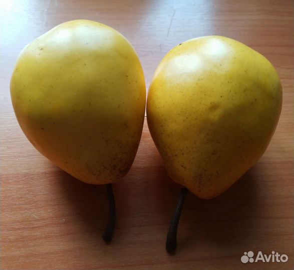 Муляжи фруктов