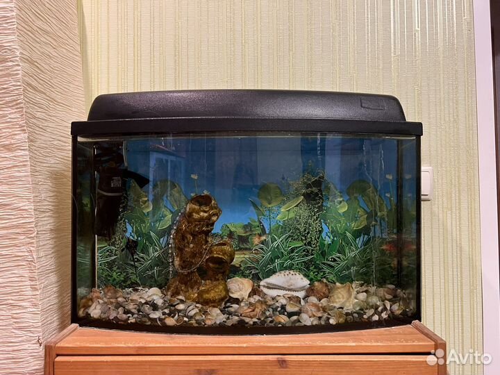 Аквариум