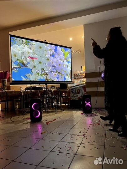 Караоке на выезд