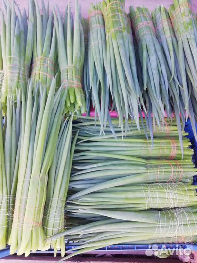 Редис, свежая зелень