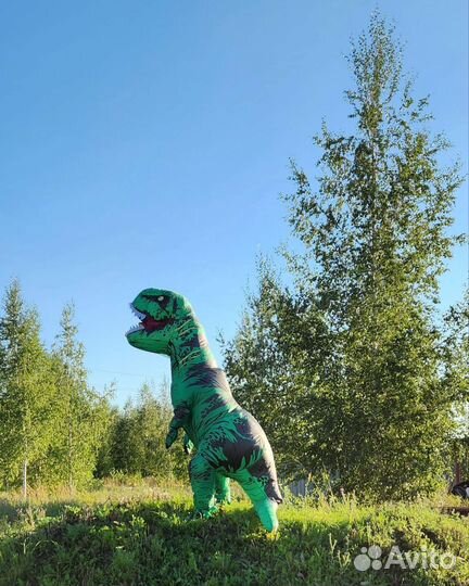 Костюм для поздравлений зелёный T-REX