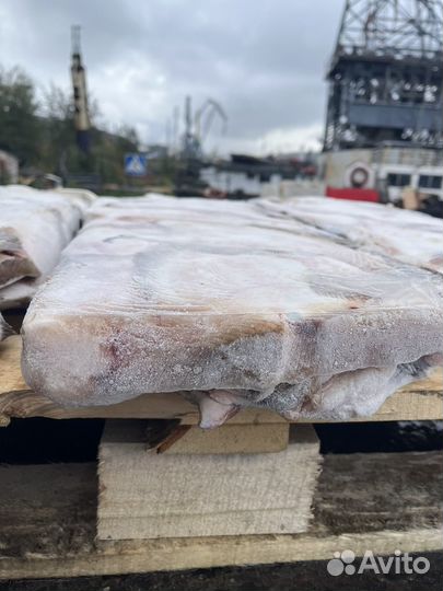 Камбала-ерш свежемороженый безразмерный