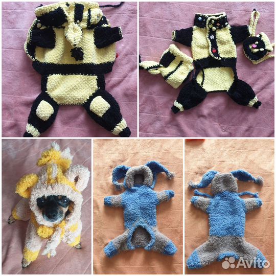 Одежда для собак (той, чихуахуа, шпиц, ёрк)