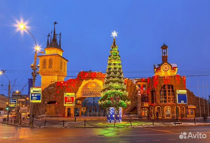 Москва из Воронежа