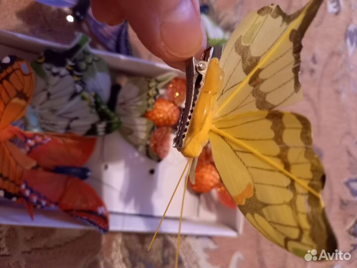 Бабочки и пчёлка