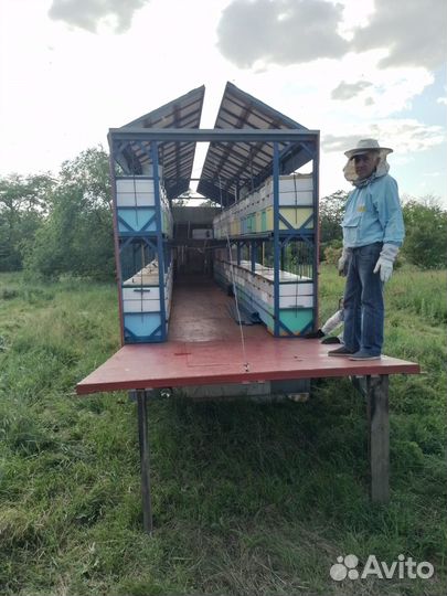 Полуприцеп пасека на 100 пчёлосемей