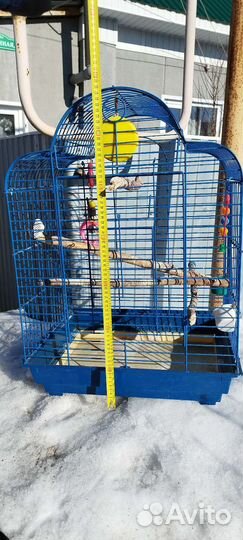 Клетка для среднего попугая