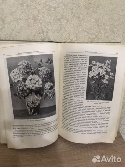 Цветоводство огиз 1949 г. Киселев
