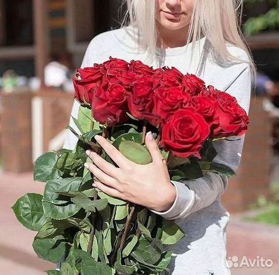 Розы гиганты 140 150 160 170 180 200