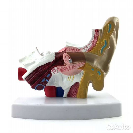 Микронаушник аренда