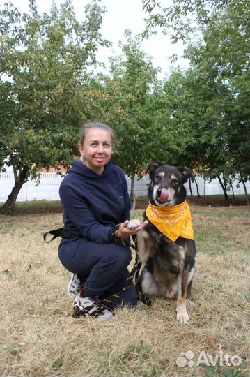 Весёлый, активный пёс Боня ищет дом