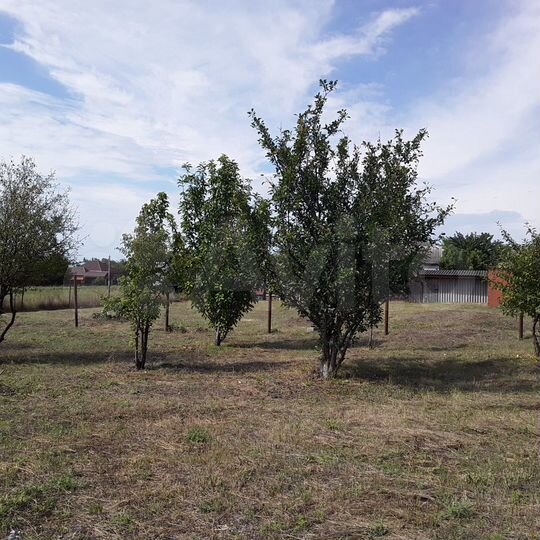 Участок 8 сот. (ИЖС)