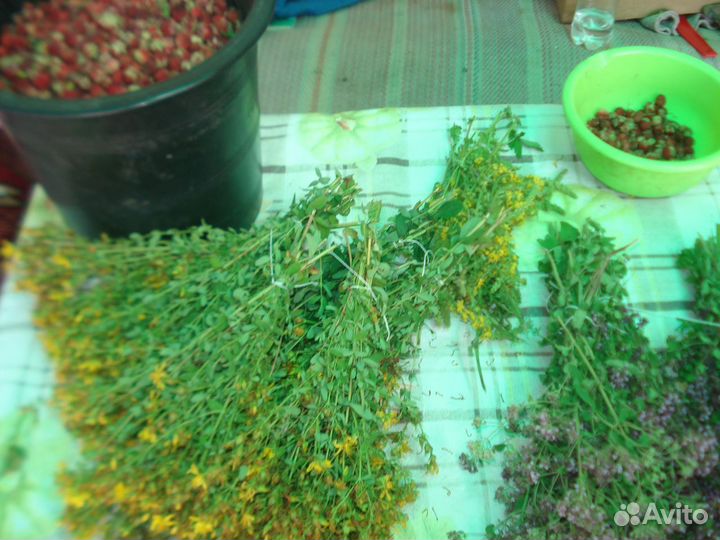 Иван-чай, душица, таволга