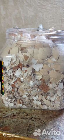 Скорлупа яичная