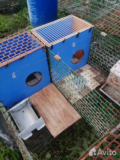 Клетки для кроликов бу