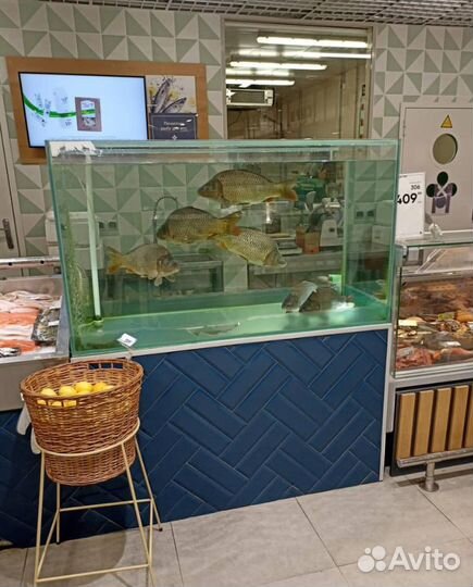 Акваpиумы для продажи живой рыбы
