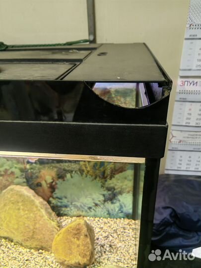 Аквариум с тумбой 450 литров