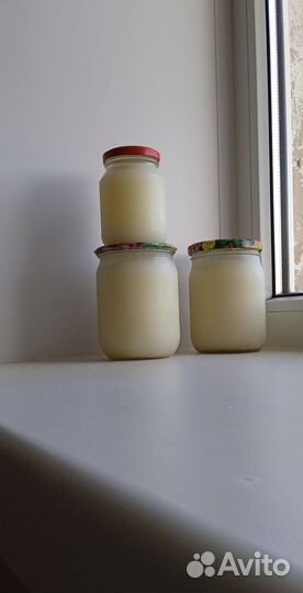 Барсучий жир