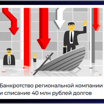 Банкротство юридических лиц. Юрист, Софрино