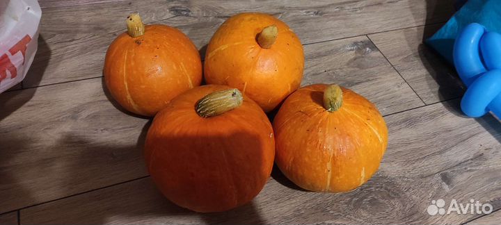 Тыква молодая деревенская