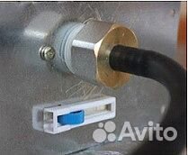 Инкубатор на 30 страусиных яиц