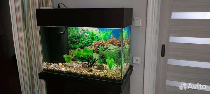 Аквариум 80х34.Высота 60 с крышкой. Крышка съёмная