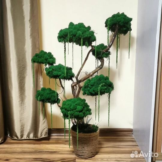 Дерево из стабилизированного мха