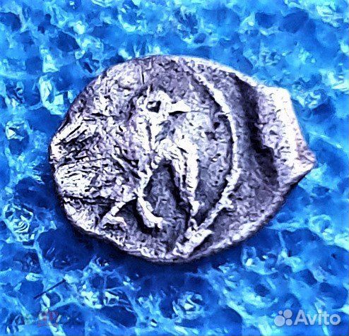 Чешуя полушка новгородская, Иван IV Грозный