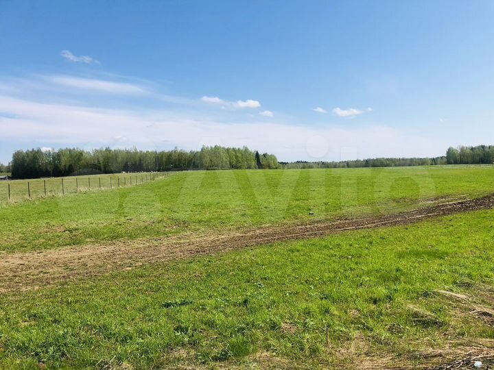 Участок 2,5 га (СНТ, ДНП)